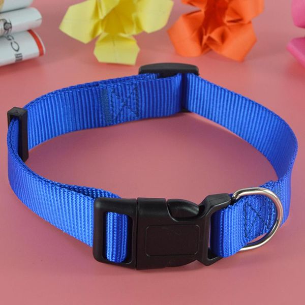 dog collars & leashes (10pieces/lot) wholesale 3 colors 4 sizes necklace nylon solid color pet cat collar
dog collars & leashes (10pieces/lot) wholesale 3 colors 4 sizes necklace nylon solid color pet cat collar