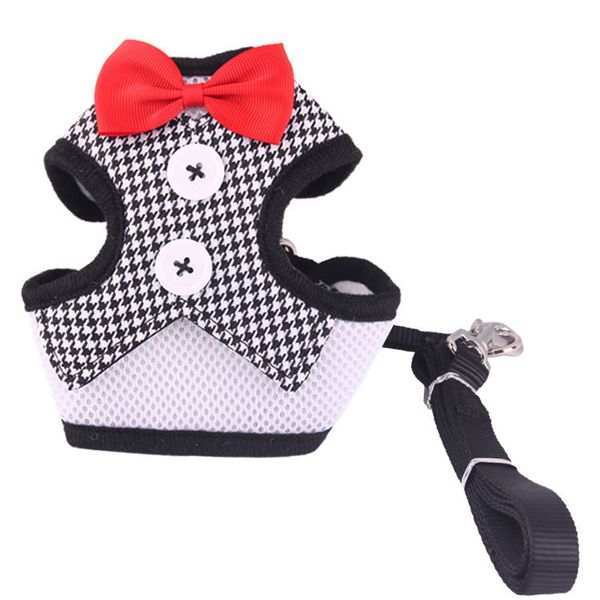 pet leash dog chest strap pet vest evening dress butterfly bow tie chest strap pet leash
pet leash dog chest strap pet vest evening dress butterfly bow tie chest strap pet leash