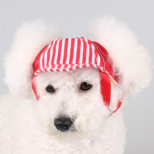 dog apparel pet hat baseball cap windproof travel sports sun hats for puppy large dogs costume grooming headwear supplies
dog apparel pet hat baseball cap windproof travel sports sun hats for puppy large dogs costume grooming headwear supplies
