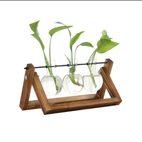vases plant terrarium with wooden stand air planter bulb glass vase metal swivel holder for hydroponics home garden office decoration
vases plant terrarium with wooden stand air planter bulb glass vase metal swivel holder for hydroponics home garden office decoration