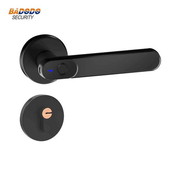 smart lock zinc alloy 20 users fingerprint electric biometric with mechanical key for indoor home wooden metal door
smart lock zinc alloy 20 users fingerprint electric biometric with mechanical key for indoor home wooden metal door