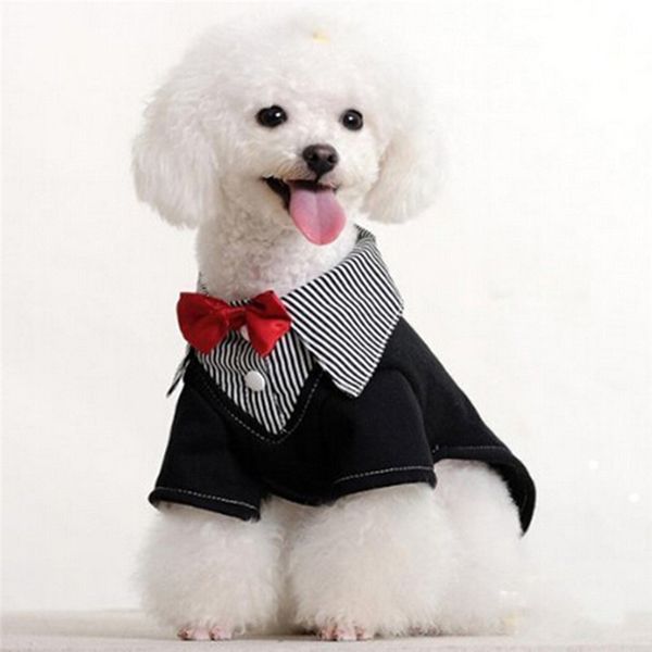 3pc/lot pet fashion collars dog cat collar cute bow tie necktie for dogs pet products grooming accessories
3pc/lot pet fashion collars dog cat collar cute bow tie necktie for dogs pet products grooming accessories