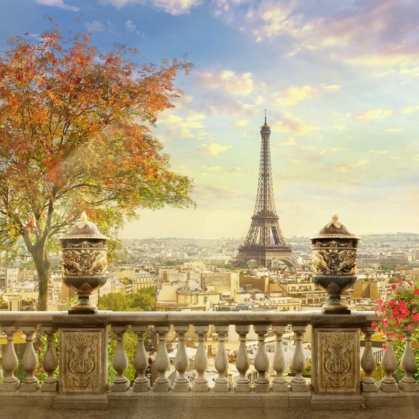 laeacco old town effier tower paris roofrailing tree sky scenic p backgrounds pgraphy backdrops for p studio
laeacco old town effier tower paris roofrailing tree sky scenic p backgrounds pgraphy backdrops for p studio
