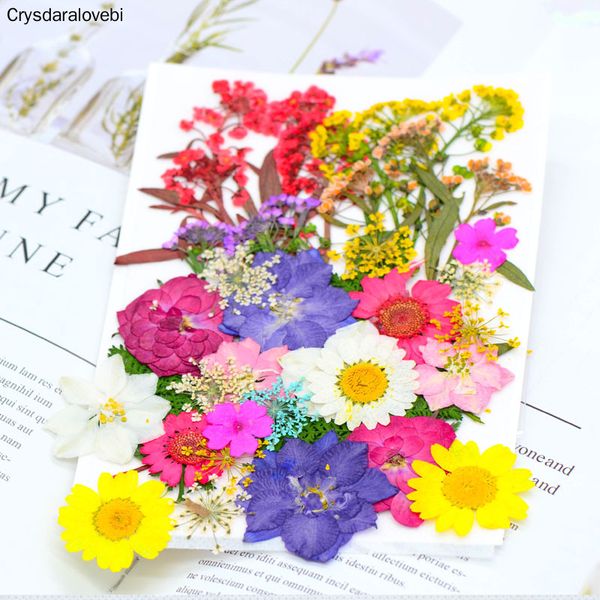 35-50pcs mixed dried leaves making diy postcard flower phone jewelry plants p frame for case herbarium pressed htsah
35-50pcs mixed dried leaves making diy postcard flower phone jewelry plants p frame for case herbarium pressed htsah