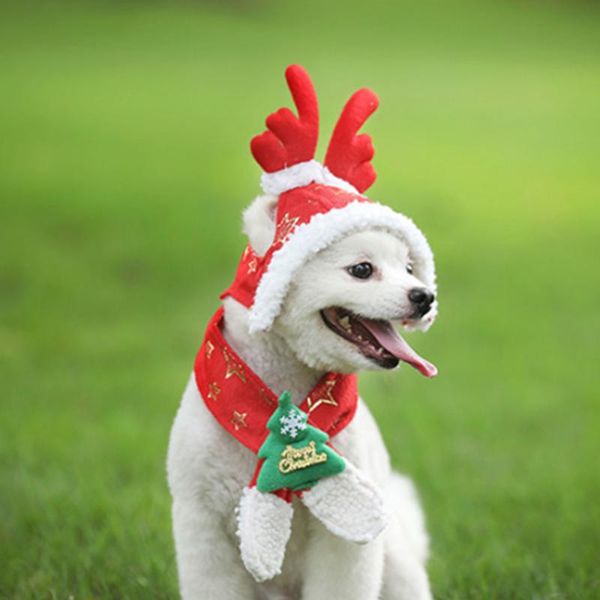 dog apparel cute hats funny cap costume warm hat year party christmas cosplay accessories po props headwear hx1101
dog apparel cute hats funny cap costume warm hat year party christmas cosplay accessories po props headwear hx1101
