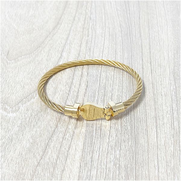 men vintage stainless steel mens wire cable gold bangle bracelets for boys male jewelry with box with stamp wholesale, Golden;silver
men vintage stainless steel mens wire cable gold bangle bracelets for boys male jewelry with box with stamp wholesale, Golden;silver