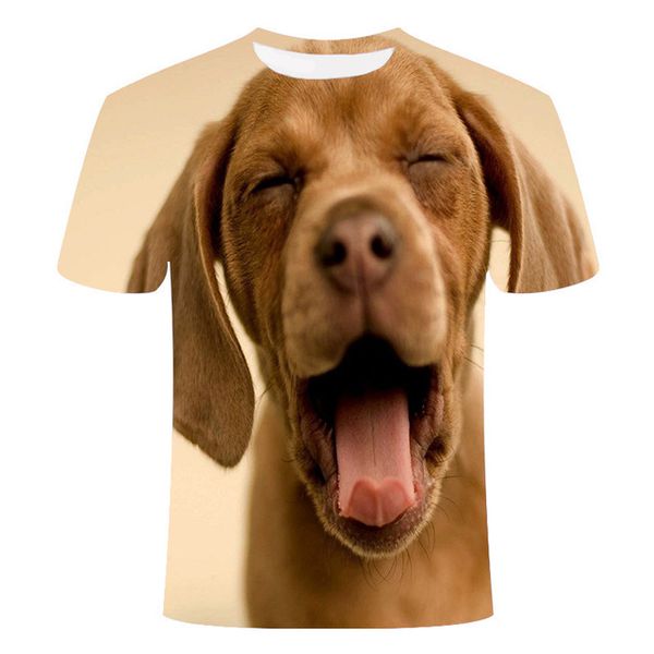 animal dog pet o-collar summer 110-6xl 3d print shirts kawaii graphic humor men clothing
animal dog pet o-collar summer 110-6xl 3d print shirts kawaii graphic humor men clothing