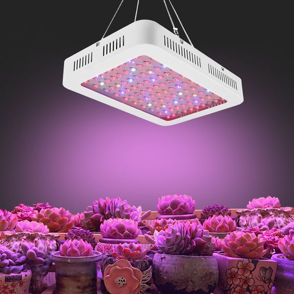led grow light 1200w full spectrum led grow tent covered green houses lamp plant grow lamp for veg flowering aluminium dhl
led grow light 1200w full spectrum led grow tent covered green houses lamp plant grow lamp for veg flowering aluminium dhl