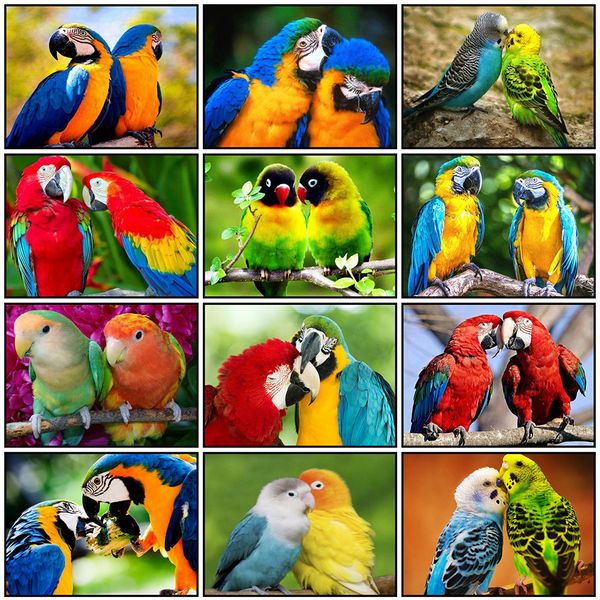 evershine full square diamond painting parrot mosaic diamond embroidery cross stitch animals bird home decoration new year gift
evershine full square diamond painting parrot mosaic diamond embroidery cross stitch animals bird home decoration new year gift