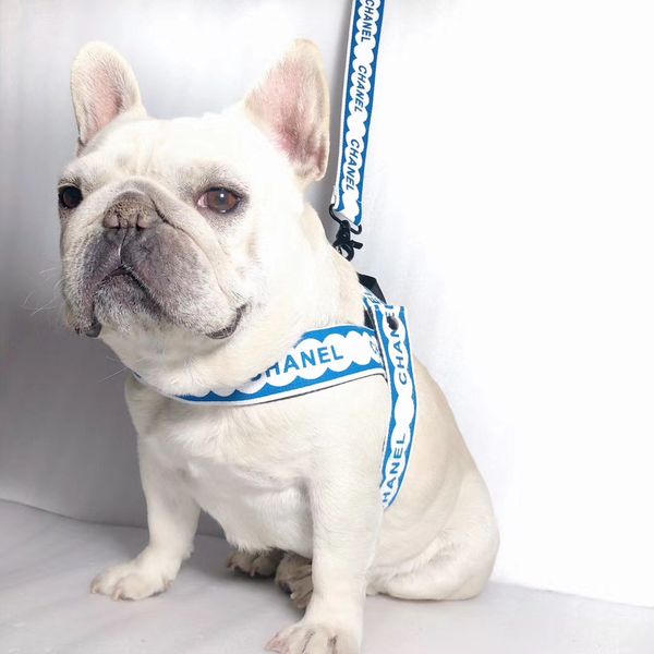 dog collar leashes chest back harnesses fashion teddy schnauzer adjustable strap vest collar pet leashes harnesses dog supplies qwe1
dog collar leashes chest back harnesses fashion teddy schnauzer adjustable strap vest collar pet leashes harnesses dog supplies qwe1