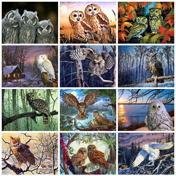 evershine diamond painting full square owl diamond embroidery animals 5d diy mosaic picture of rhinestone home decoration
evershine diamond painting full square owl diamond embroidery animals 5d diy mosaic picture of rhinestone home decoration