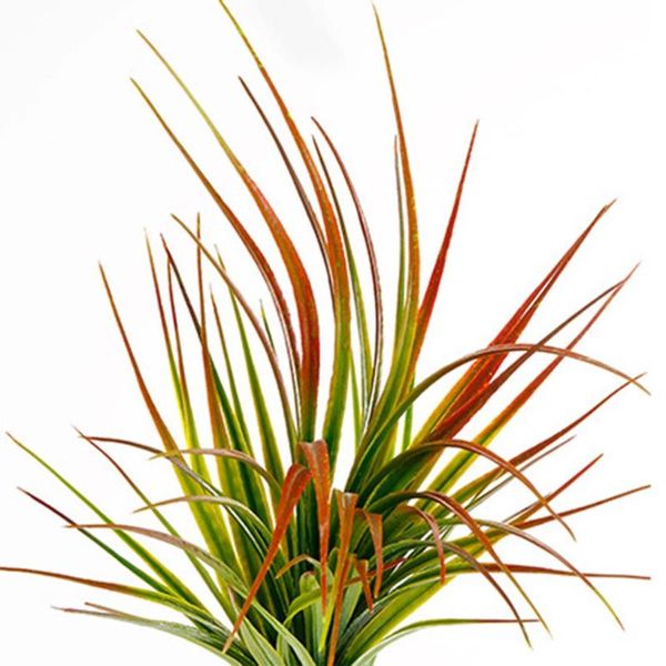 artificial grass bouquet home office fake plant decoration wedding party simulation grass
artificial grass bouquet home office fake plant decoration wedding party simulation grass