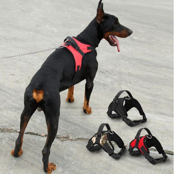 100шт собака мягкая регулируемая harness vest собака нагрудный walk out ремешка воротник
100шт собака мягкая регулируемая harness vest собака нагрудный walk out ремешка воротник