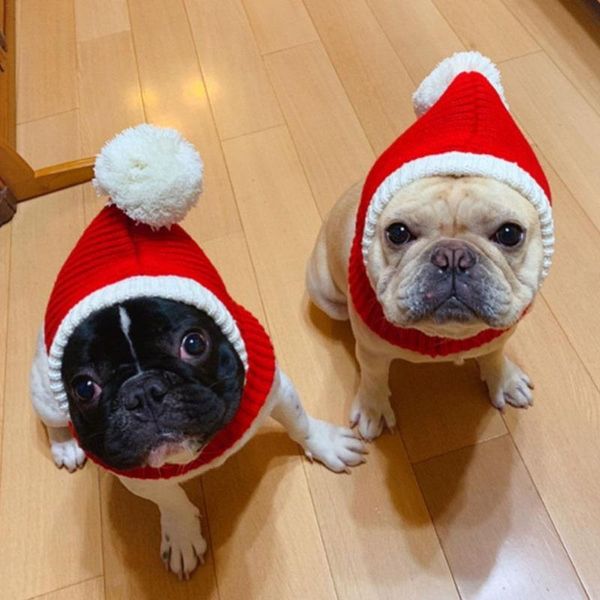 funny christmas dog hat red elastic cap winter warm pet cat dog santa claus hat rocheted snood winter pet knit headwear for pets
funny christmas dog hat red elastic cap winter warm pet cat dog santa claus hat rocheted snood winter pet knit headwear for pets