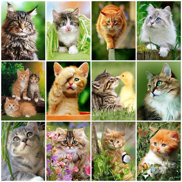 evershine full square diamond painting cat cross stitch kit animal diamond embroidery sale rhinestone pictures home decoration
evershine full square diamond painting cat cross stitch kit animal diamond embroidery sale rhinestone pictures home decoration