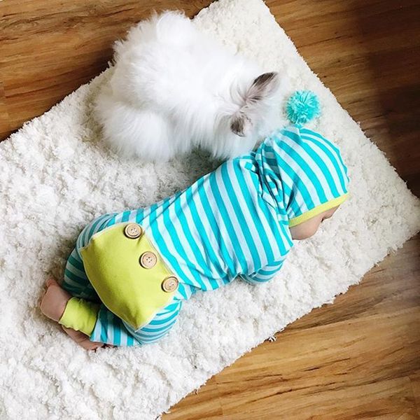 2020 sell autumn clothes hooded long sleeve rompers blue stripe baby boy girl clothing set newborn infant outfits y200807, White
2020 sell autumn clothes hooded long sleeve rompers blue stripe baby boy girl clothing set newborn infant outfits y200807, White