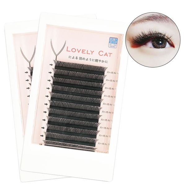 lashes 12 lines y type mix individual eyelash extension pre made volume fans long stem russian volume false eyelashes
lashes 12 lines y type mix individual eyelash extension pre made volume fans long stem russian volume false eyelashes