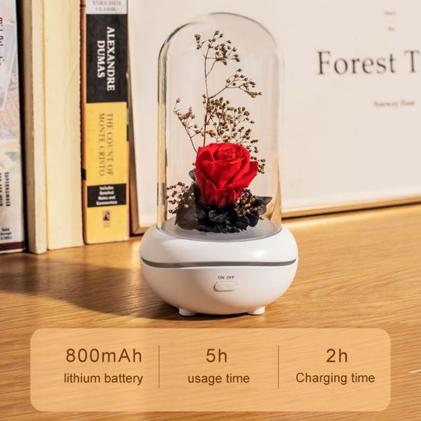 decorative flowers & wreaths essential oils home decoration night light flower humidifiers rose led eternal design aroma gift
decorative flowers & wreaths essential oils home decoration night light flower humidifiers rose led eternal design aroma gift