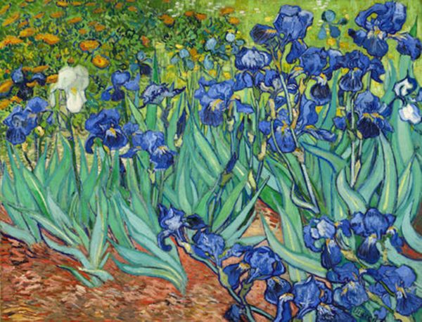 vincent van gogh classic art irises ( 1889 ) wall decor handpainted &hd print oil painting on canvas wall art canvas pictures 200822
vincent van gogh classic art irises ( 1889 ) wall decor handpainted &hd print oil painting on canvas wall art canvas pictures 200822
