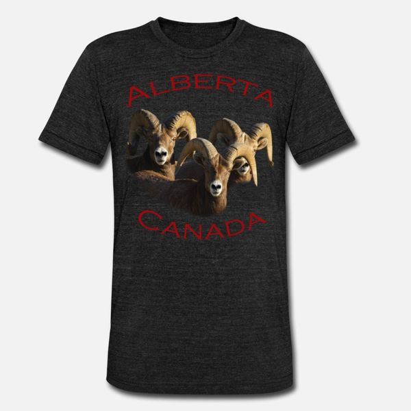 alberta canada t shirt men designing tee shirt round neck trend fit fashion spring vintage shirt
alberta canada t shirt men designing tee shirt round neck trend fit fashion spring vintage shirt