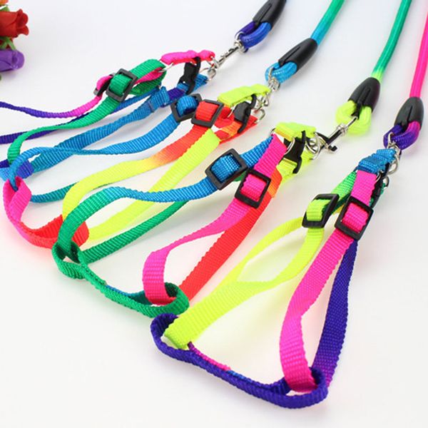 3 size pet puppy leash multiple walking dog pet leash training lead collar dacron harness rainbow rope pet supplies
3 size pet puppy leash multiple walking dog pet leash training lead collar dacron harness rainbow rope pet supplies
