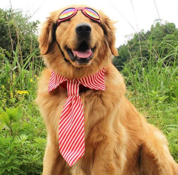 fashion dog accessories pet bow tie for golden retriever large and medium sized dogs stripe adjustable pet ties pet bows
fashion dog accessories pet bow tie for golden retriever large and medium sized dogs stripe adjustable pet ties pet bows