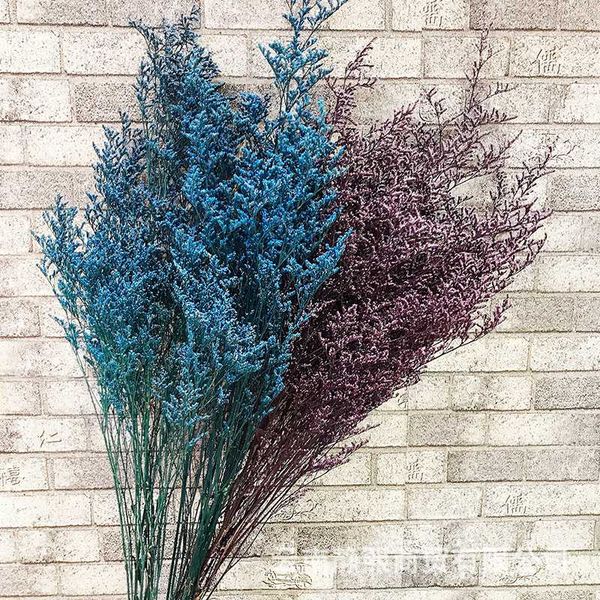 40-45cm natural dried lover grass&valentine grass plant,real preserved fresh flower bouquets, dancing flower for home decoration
40-45cm natural dried lover grass&valentine grass plant,real preserved fresh flower bouquets, dancing flower for home decoration