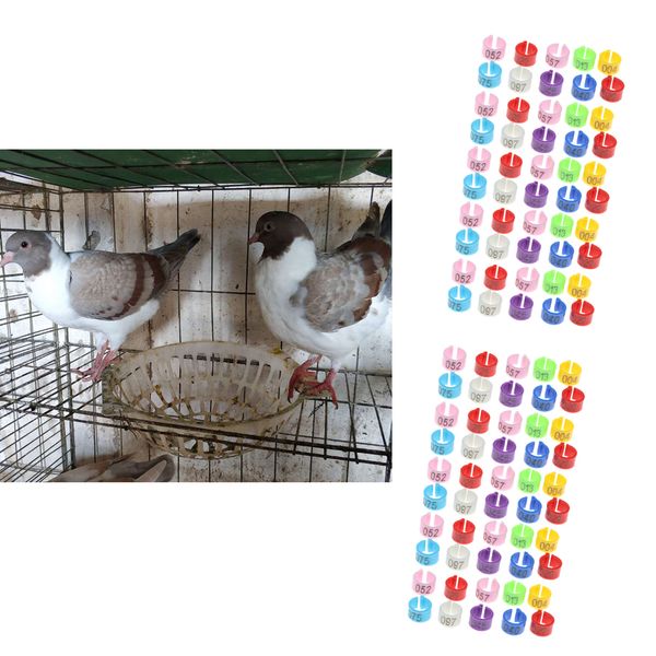 100шт bird pigeon специального rfid foot кольцо с электронным чипом метка обучение кольца для parrot перепела finch канарского птица для ног
100шт bird pigeon специального rfid foot кольцо с электронным чипом метка обучение кольца для parrot перепела finch канарского птица для ног