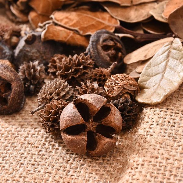 garland wreath decoration cross fruit pine cone natural artificial flower acorn diy artificial plants
garland wreath decoration cross fruit pine cone natural artificial flower acorn diy artificial plants