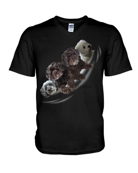men t shirt schnoodle - torn 4(14) women tshirts
men t shirt schnoodle - torn 4(14) women tshirts