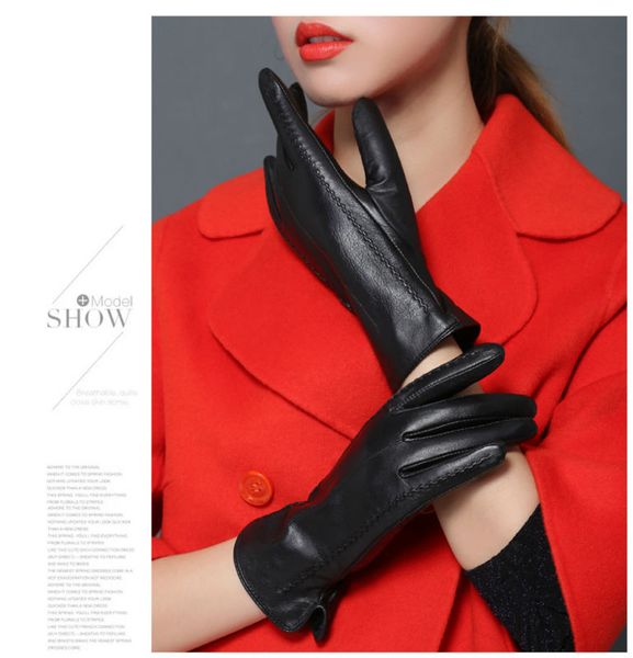 ms winter style gloves women outdoor guantes keep warm soft warm mitten lady lovely girl touch sreen cycling shipping, Blue;gray
ms winter style gloves women outdoor guantes keep warm soft warm mitten lady lovely girl touch sreen cycling shipping, Blue;gray