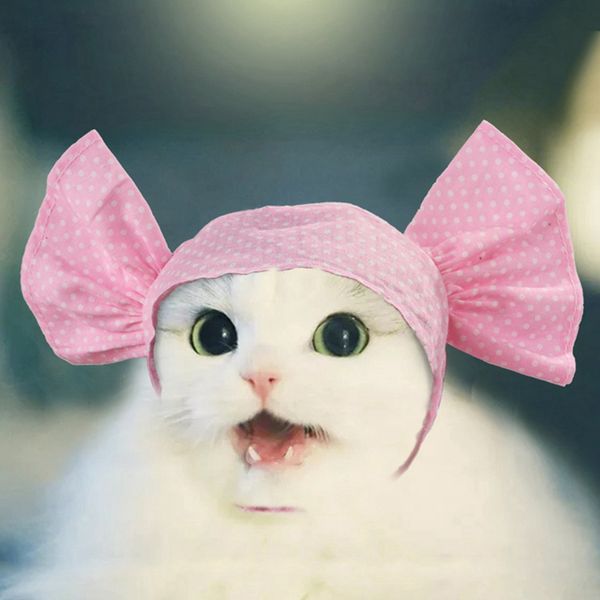 funny bowknot design cat caps pet dog cat cute printed hat costume adjustable headband grooming accessories for puppy kitten
funny bowknot design cat caps pet dog cat cute printed hat costume adjustable headband grooming accessories for puppy kitten
