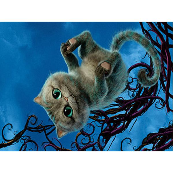 full circle diamond 5d diy diamond painting animal cute cat handmade diamond embroidery art cross stitch mosaic decoration gift
full circle diamond 5d diy diamond painting animal cute cat handmade diamond embroidery art cross stitch mosaic decoration gift
