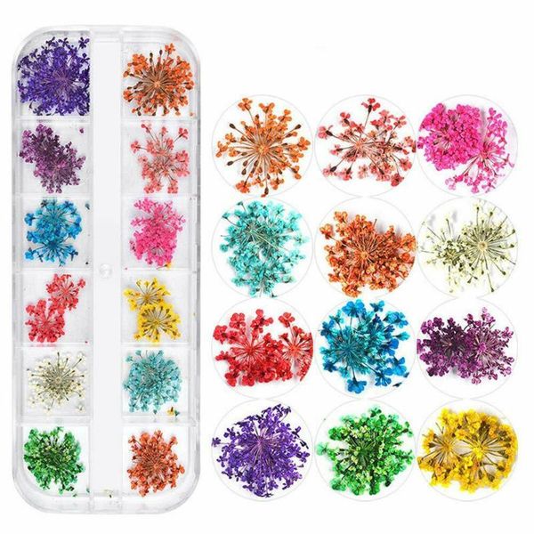 nail art decorations 12 colors dry dried flower 3d natural floral sticker manicure accessories decor, Silver;gold
nail art decorations 12 colors dry dried flower 3d natural floral sticker manicure accessories decor, Silver;gold
