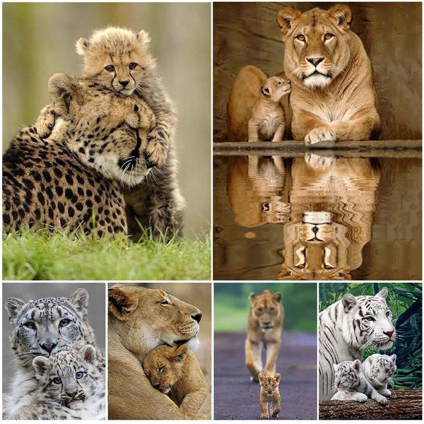 diy 5d diamond painting full square animals lion giraffe cross stitch diamond embroider tiger mosaic picture of rhinestones gift
diy 5d diamond painting full square animals lion giraffe cross stitch diamond embroider tiger mosaic picture of rhinestones gift