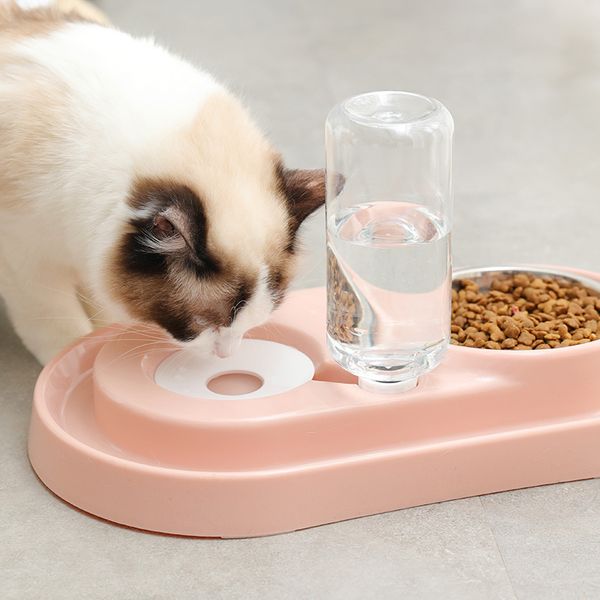 cat bowl double bowl pet dog cat automatic drinking water feeding pet bowl stainless steel water bottle cat dog
cat bowl double bowl pet dog cat automatic drinking water feeding pet bowl stainless steel water bottle cat dog