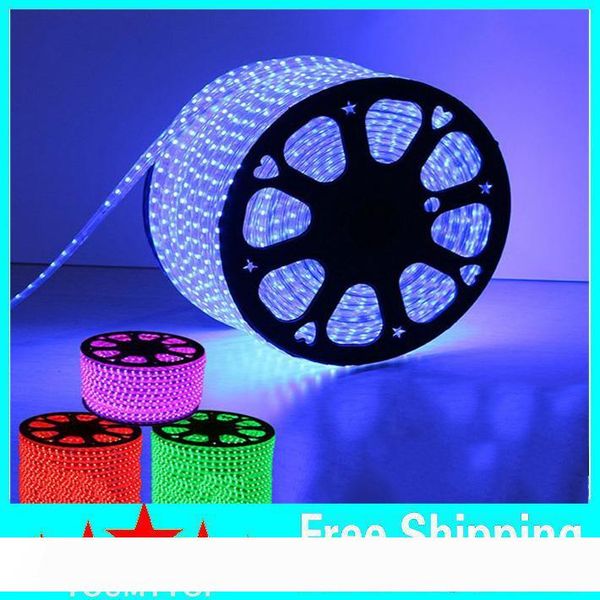 high voltage 220-240v 100m waterproof ip67 led strips light 60leds m 5050 smd warm white white red green blue led light + power supply
high voltage 220-240v 100m waterproof ip67 led strips light 60leds m 5050 smd warm white white red green blue led light + power supply