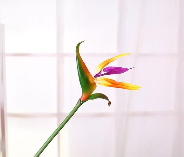flower wedding bird decor plastic flowers decorative artificial party fake bridal paradise home garden artificial of dayupshop lhisp
flower wedding bird decor plastic flowers decorative artificial party fake bridal paradise home garden artificial of dayupshop lhisp