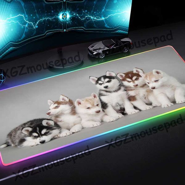 xgz animal cute pet dog husky high definition custom large rgb mouse pad black lock edge computer desk mat rubber non-slip xxl
xgz animal cute pet dog husky high definition custom large rgb mouse pad black lock edge computer desk mat rubber non-slip xxl