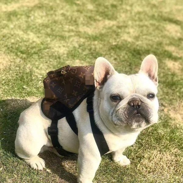 personality small dog mini packpacks fashion printed adjustable pet bag cute teddy bulldog schnauzer dog supplies
personality small dog mini packpacks fashion printed adjustable pet bag cute teddy bulldog schnauzer dog supplies