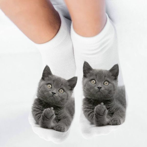 septhydrogen brand women's funny animal cute 3d print socks women ankle socks socks women fashion sox cartoon cat for female, Black;white
septhydrogen brand women's funny animal cute 3d print socks women ankle socks socks women fashion sox cartoon cat for female, Black;white