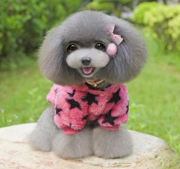 fleece dog clothes winter dog jacket clothes for dogs pets clothing for small dogs costume pet products cat clothingcolla
fleece dog clothes winter dog jacket clothes for dogs pets clothing for small dogs costume pet products cat clothingcolla