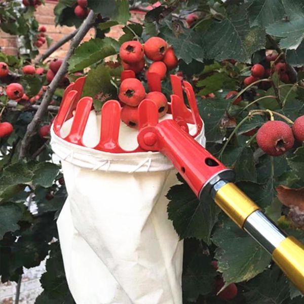 large fruit picker 25*14cm garden tools fruit catcher fruit picking tool farm garden picking device garden greenhouses tool
large fruit picker 25*14cm garden tools fruit catcher fruit picking tool farm garden picking device garden greenhouses tool