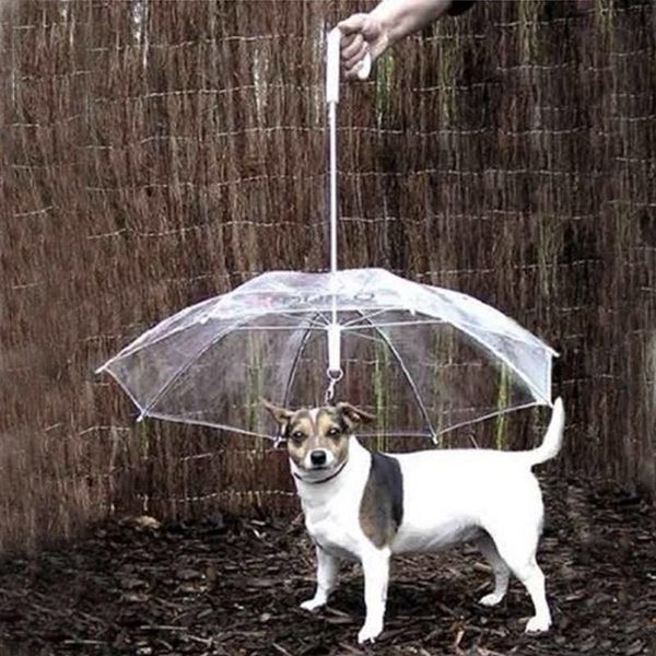 

umbrellas pet hyena artifact teddy bear dog rain gear lovely supplies waterproof cat umbrella sale