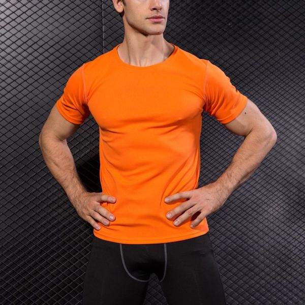 2020 s-2xl male gym sports running exercise o-neckline t-shirt shirts quick dry breathable fitness half sleeves 7 colors, Gray;blue
2020 s-2xl male gym sports running exercise o-neckline t-shirt shirts quick dry breathable fitness half sleeves 7 colors, Gray;blue