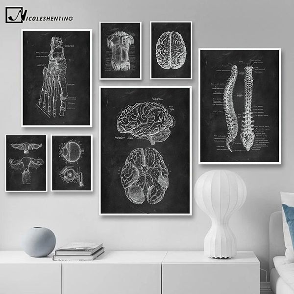 human anatomy artwork medical wall picture skeleton organ muscle system vintage poster canvas print body education painting
human anatomy artwork medical wall picture skeleton organ muscle system vintage poster canvas print body education painting