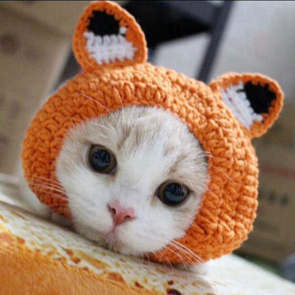 cute cartoon pet hat winter knitting hat solid colored cold weather neck head warmer costume cat accessories pet products
cute cartoon pet hat winter knitting hat solid colored cold weather neck head warmer costume cat accessories pet products