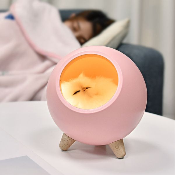 creative cute small cute cat house night light cute kitten bedside nursery light usb charging touch ambience light
creative cute small cute cat house night light cute kitten bedside nursery light usb charging touch ambience light