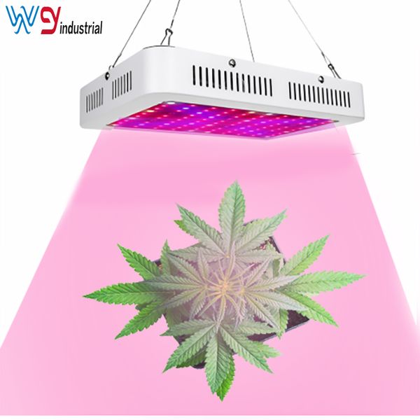 1000w Led Grow Tent Covered Greenhouses Lamp Plant Grow Lamp For Veg Flowering And String Led Grow Light
