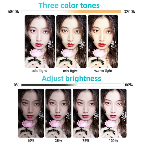 8 inch ring light stand led selfie ring light tripod video light remote controller phone holder makeup vlog video pgraphy
8 inch ring light stand led selfie ring light tripod video light remote controller phone holder makeup vlog video pgraphy